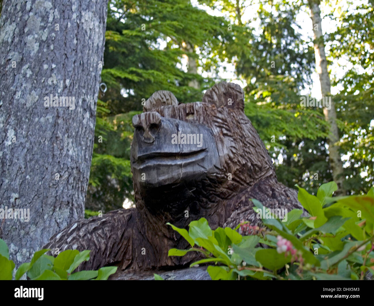 A carved bear,Washington State Stock Photo Alamy
