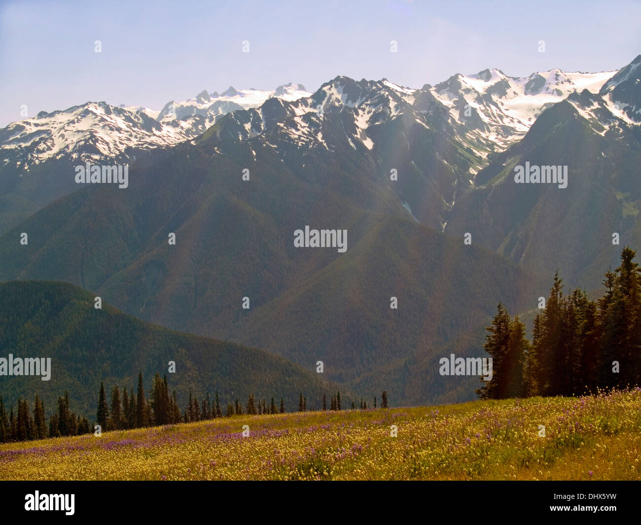 Olympic Mountains from Hurricane Ridge,Washington State Stock Photo