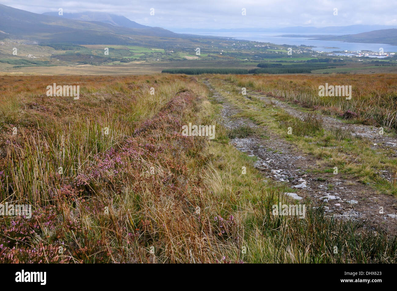 Rural track near Castletownbere,Co.Cork,Ireland Stock Photo Alamy