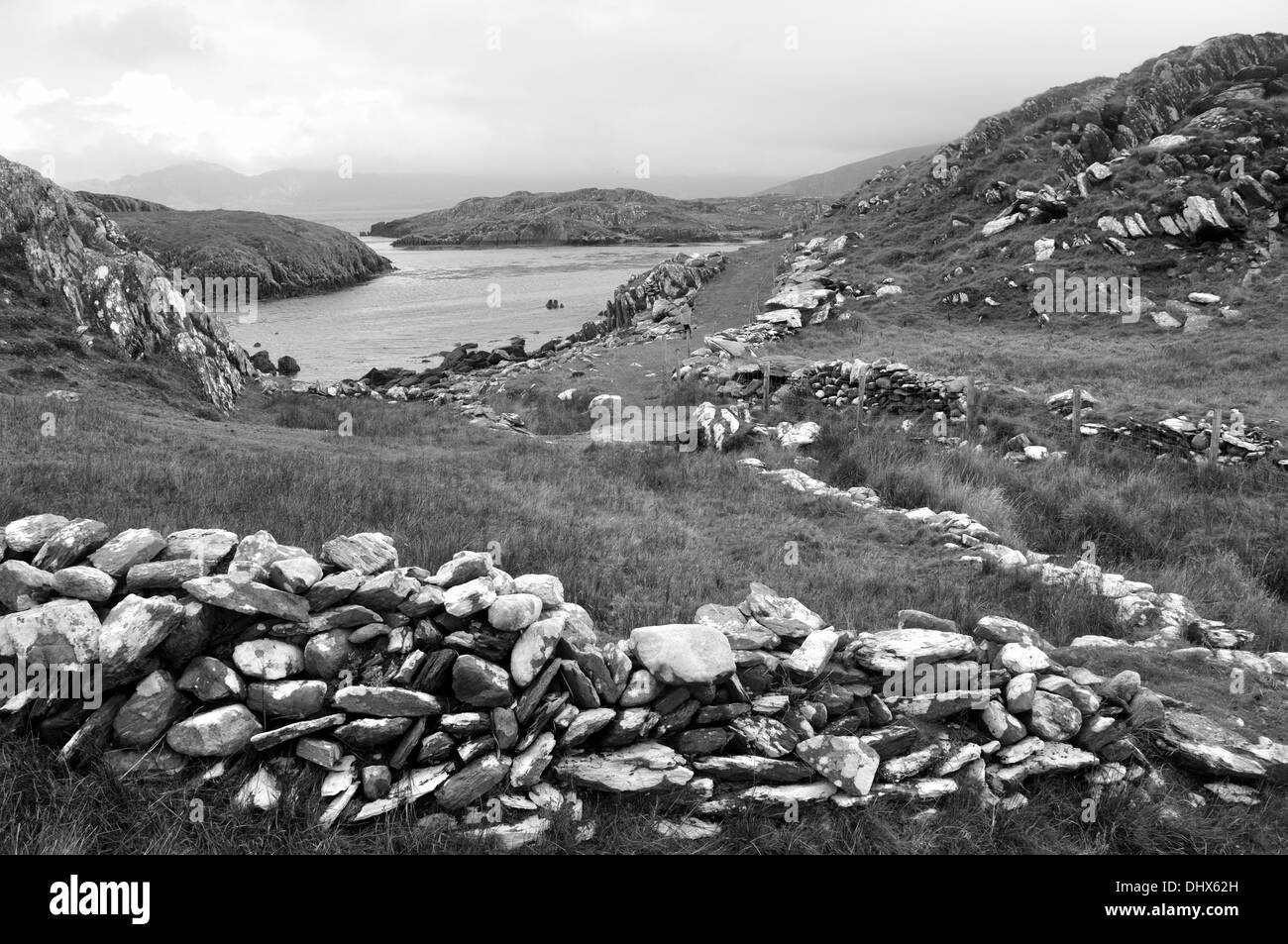 Black and white rural scene,Co.Cork,Ireland Stock Photo