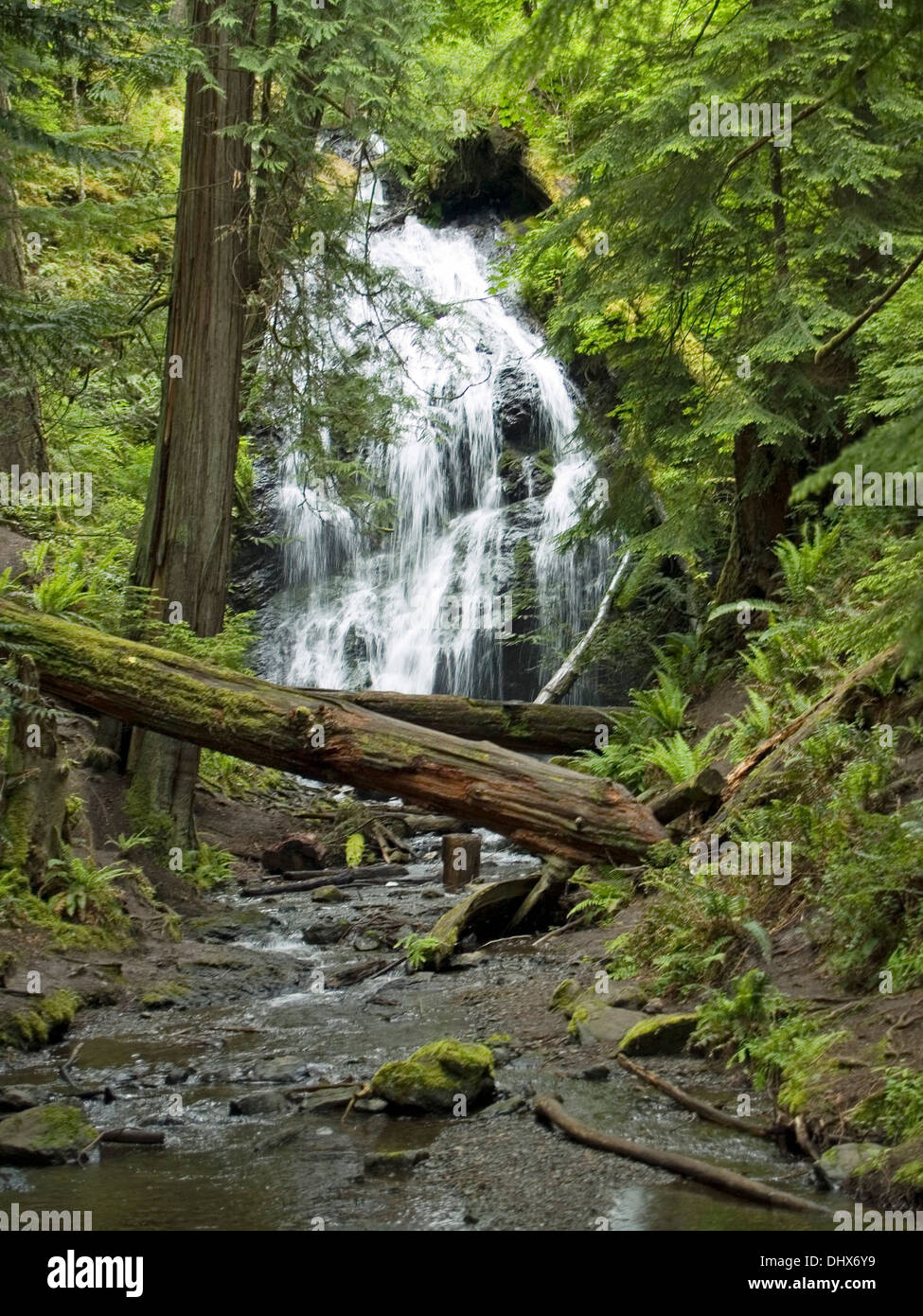 Cascade Falls in Moran State Park,Orcas Island,San Juan Islands Stock Photo