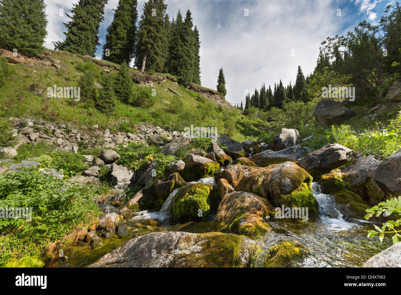 landscape brook stream water nature summer Stock Photo