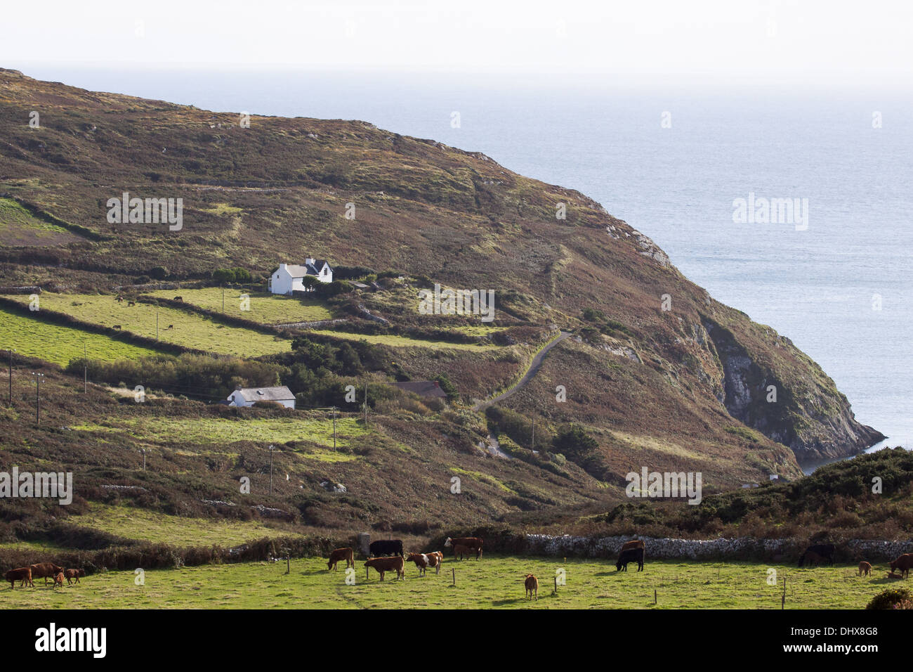 Cape Clear Island Stock Photo Alamy