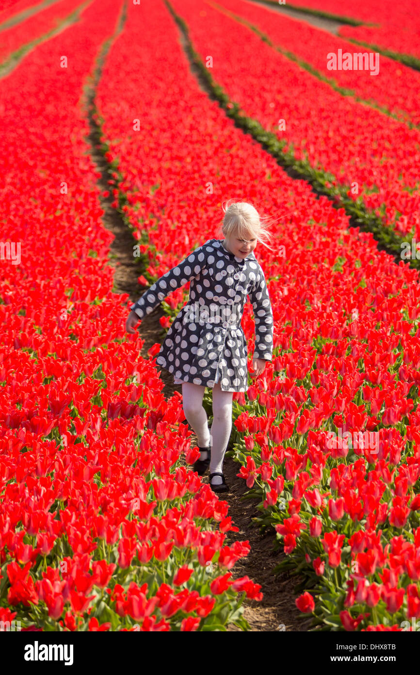 Netherlands, Lisse, Child walking in tulip field Stock Photo