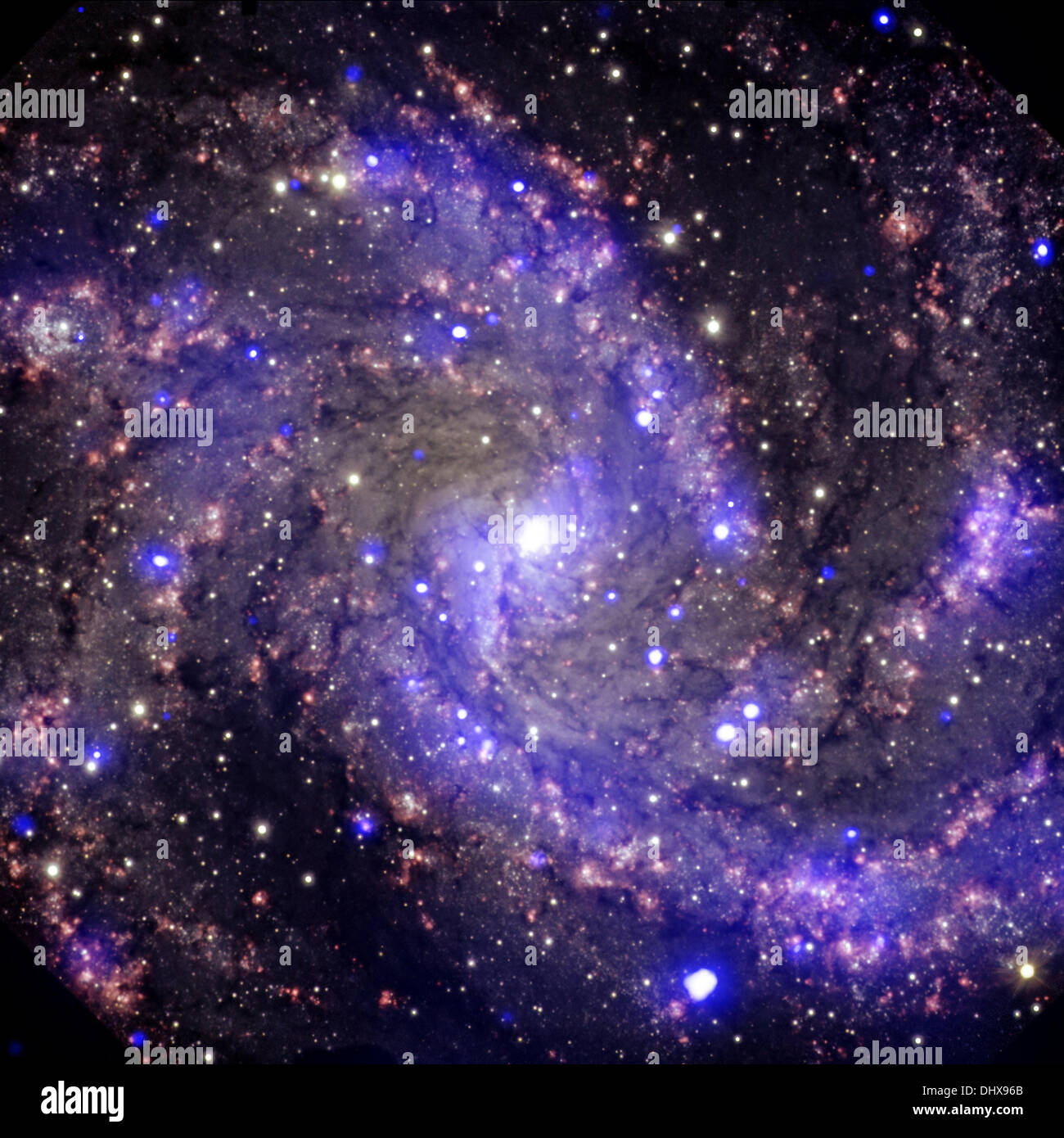 Chandra space telescope view of NGC 6946 a medium-sized, face-on spiral galaxy about 22 million light years away from Earth. In the past century, eight supernovas have been observed to explode in the arms of this galaxy. Chandra observations have found three of the oldest supernovas ever detected in X-rays, giving the galaxy the nickname of the 'Fireworks Galaxy.' Credit:  Planetpix/Alamy Live News Stock Photo