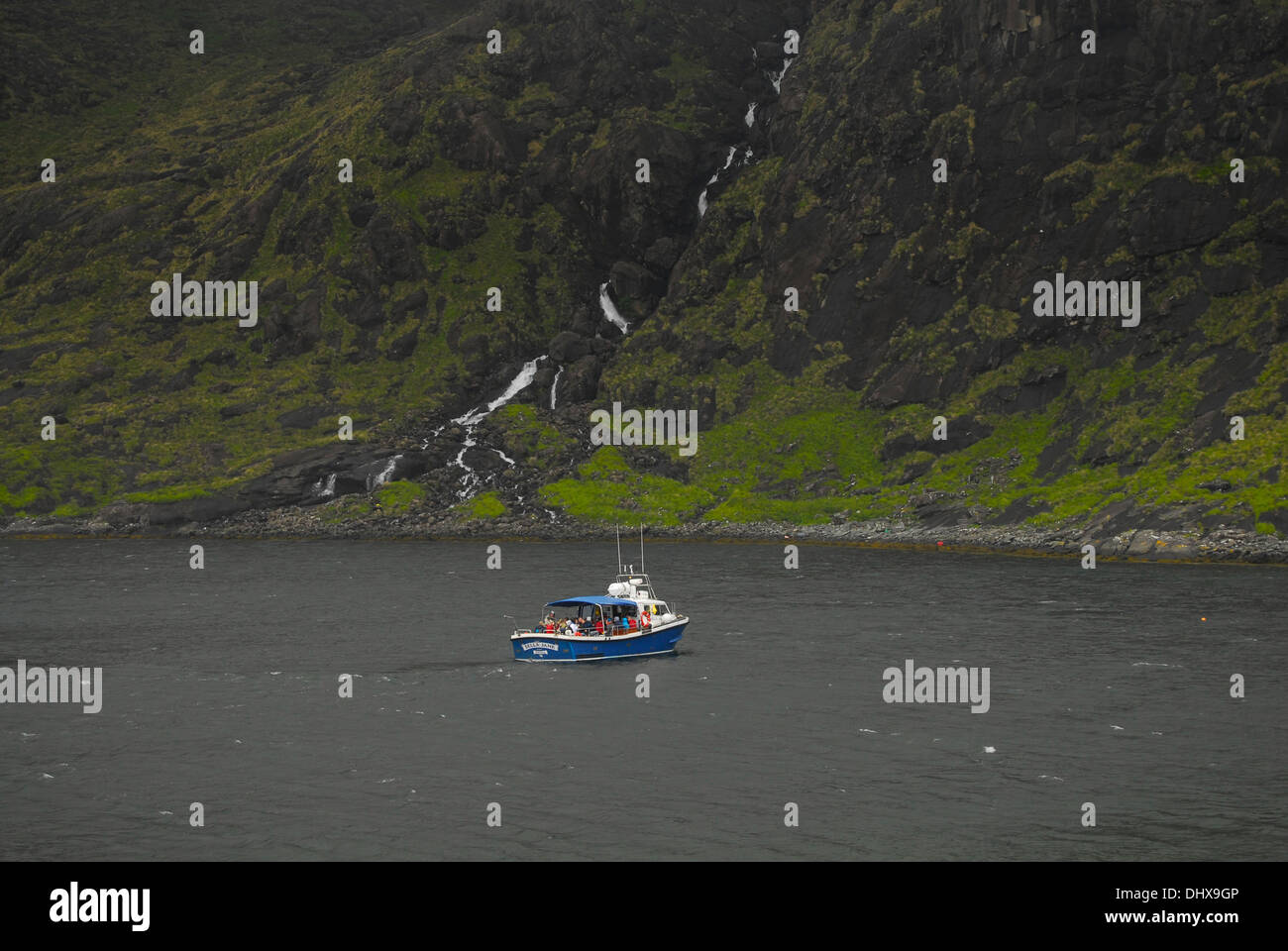 Viaje en barco para avistar focas en Escocia Stock Photo