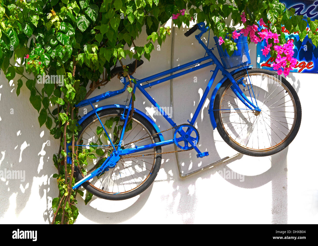 display bike on wall