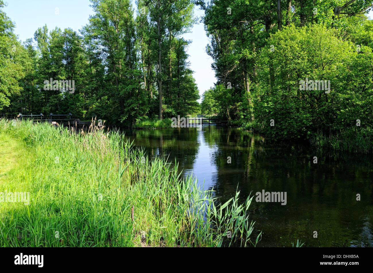 Spree Forest - water regulation Germany Stock Photo