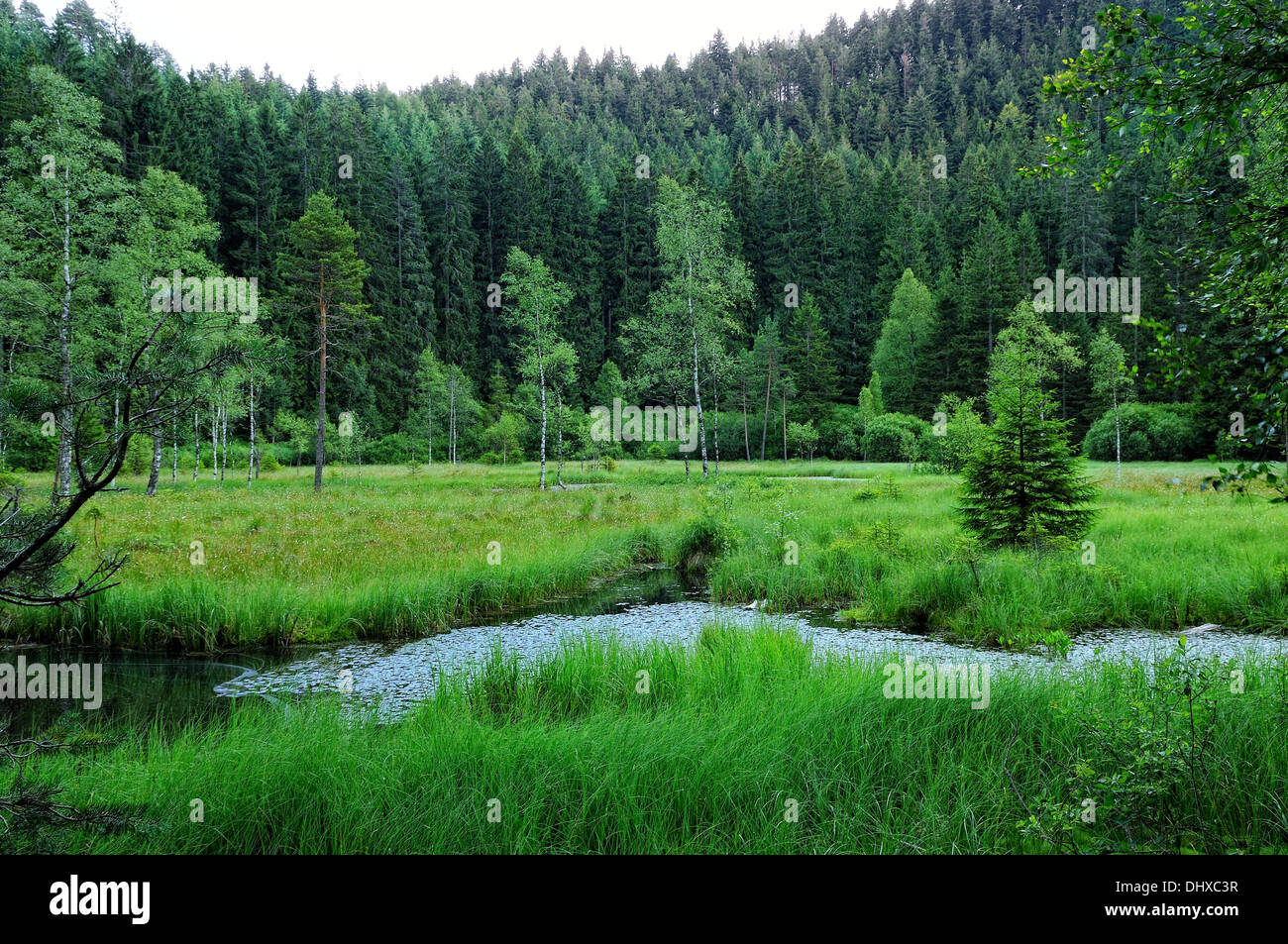 Black forest horizontal hires stock photography and images Alamy
