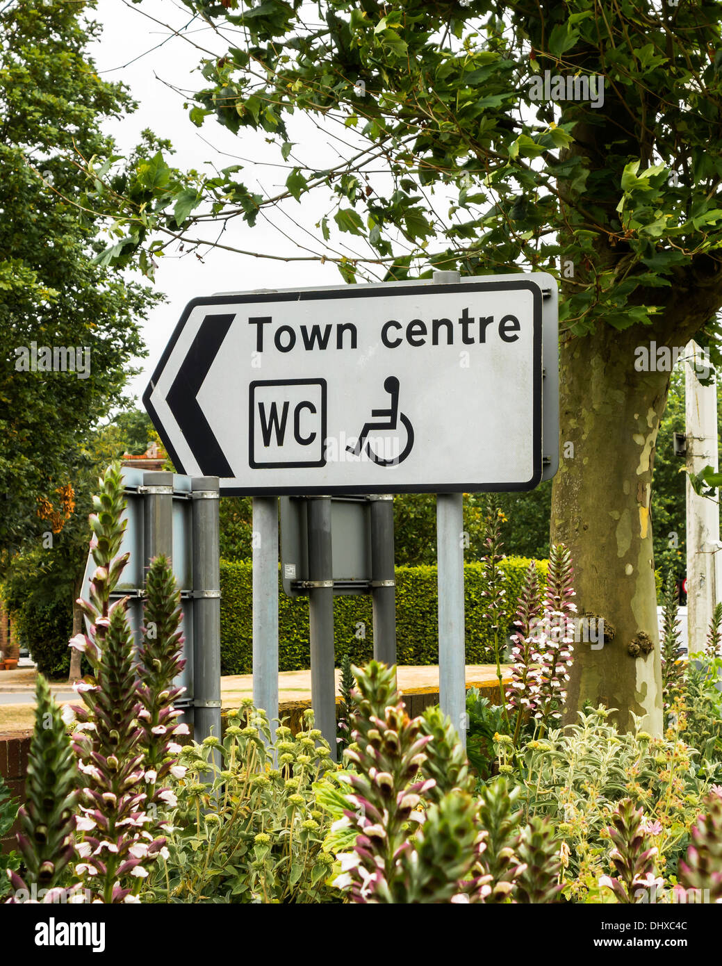 Road sign, Town Centre, WC and disabled logo (shopping, toilet and disable crossing / parking).  England, UK Stock Photo