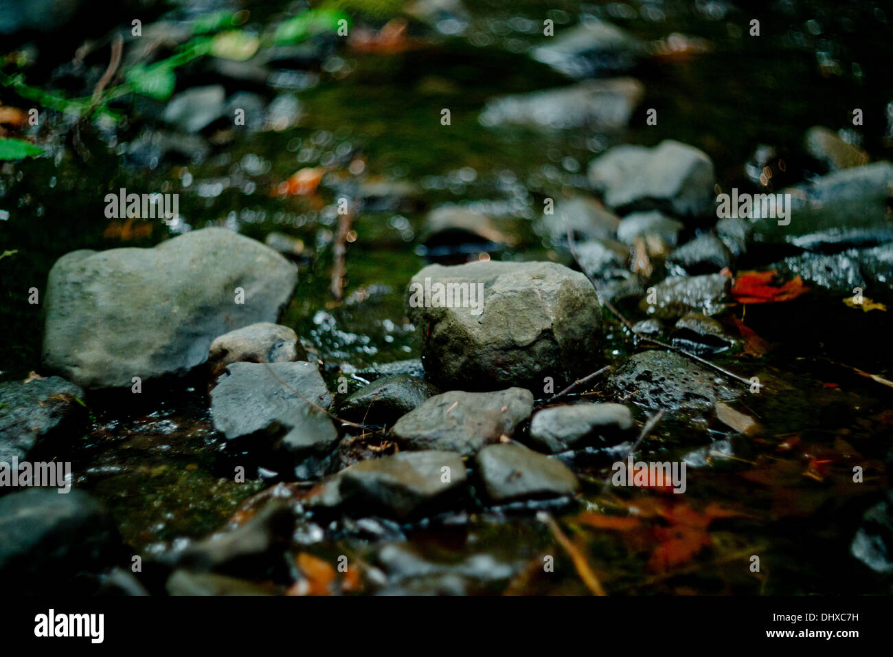Stream with rocks hi-res stock photography and images - Alamy