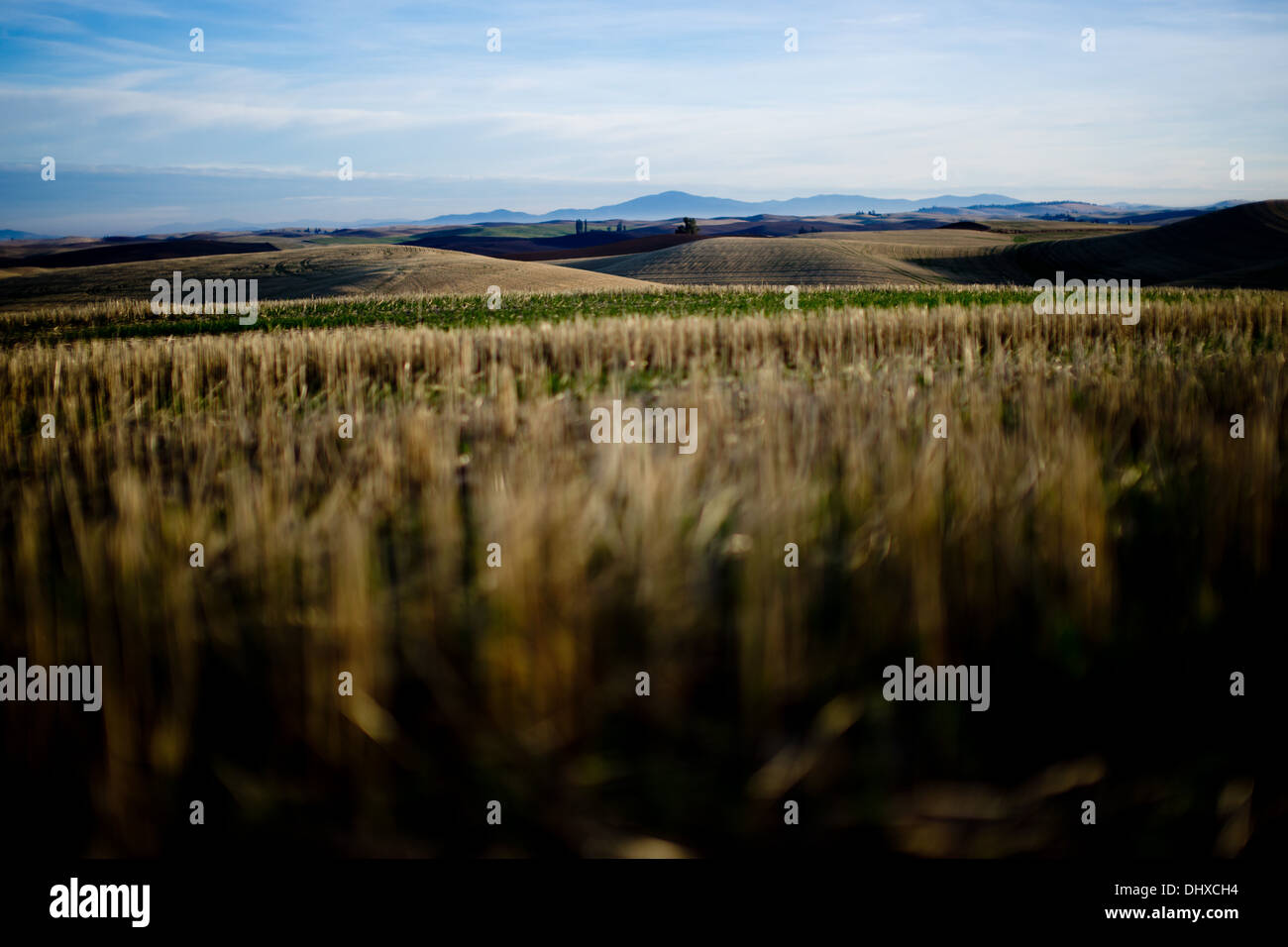 Rolling hills in background hi-res stock photography and images - Alamy