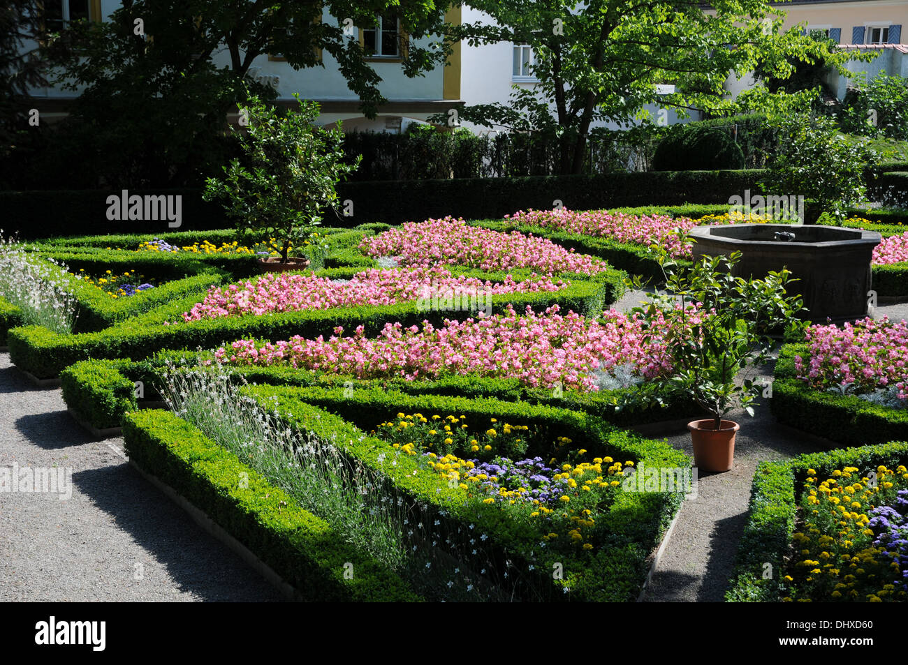 Begonias Stock Photo