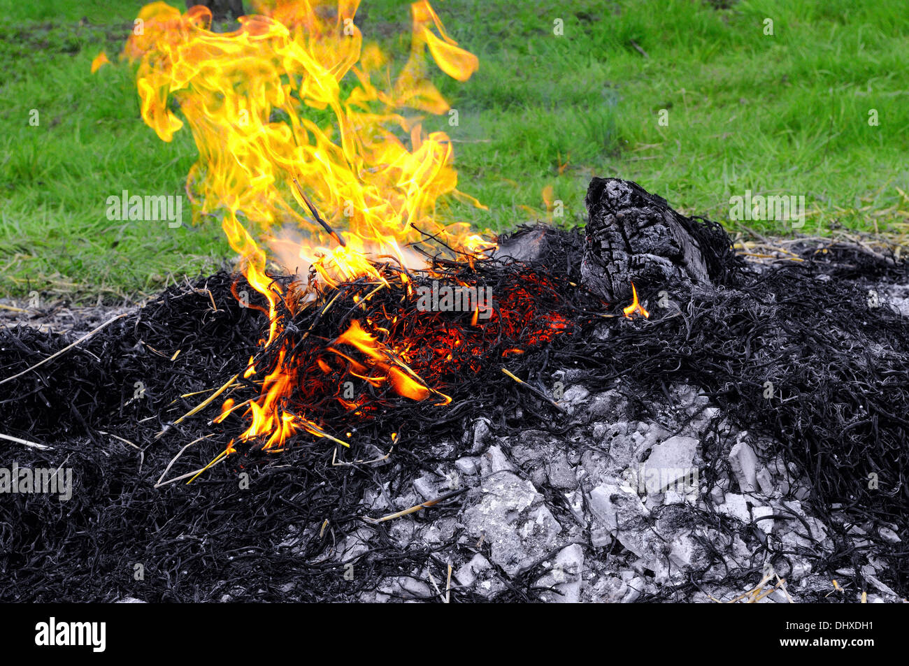 burned-fire Stock Photo