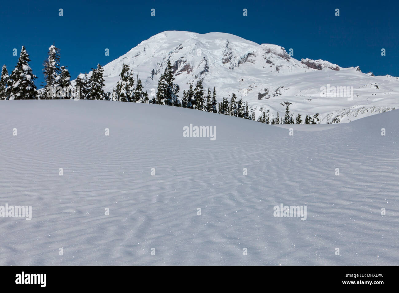 Mount Rainier above a sparkling winter snowpack on Mazama Ridge, Mount