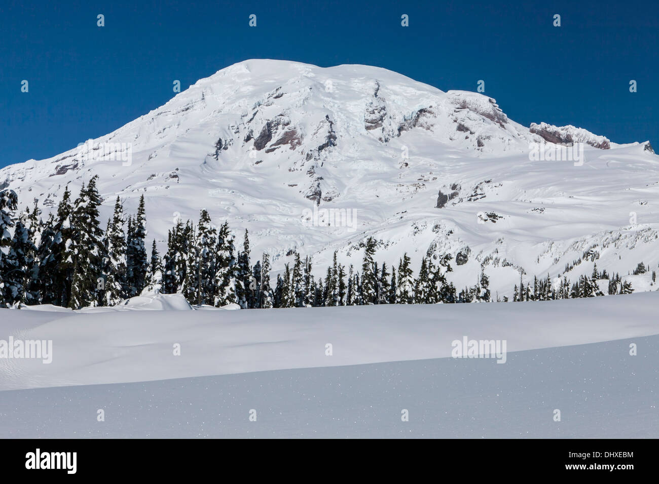 Mount Rainier above a sparkling winter snowpack on Mazama Ridge, Mount