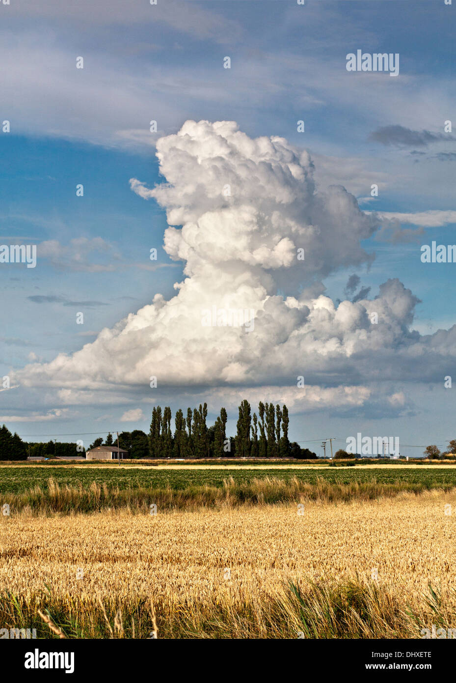 Towering cumulonimbus cloud formation. Stock Photo