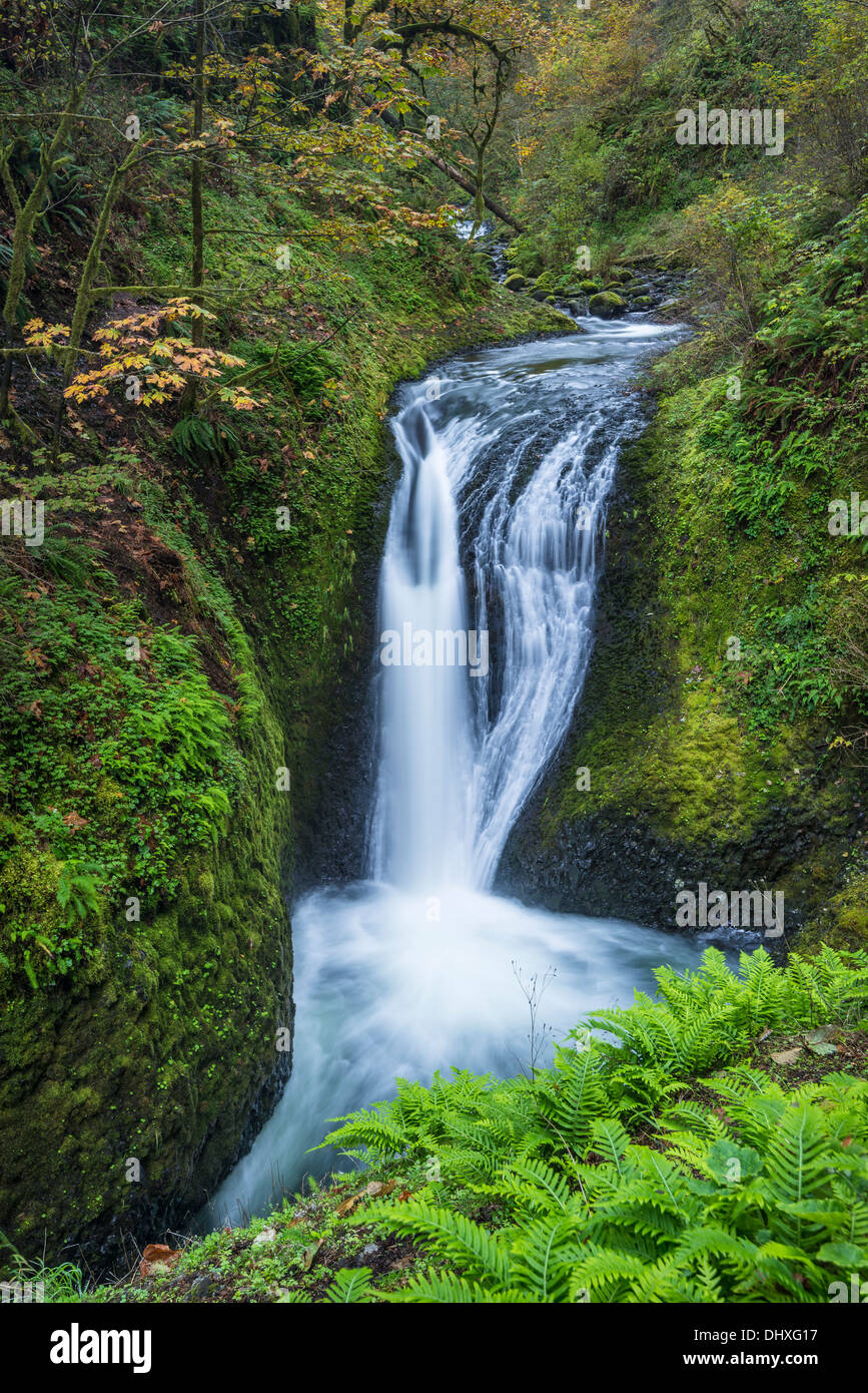 Oneonta Falls, Columbia River Gorge National Scenic Area, Oregon. Stock Photo