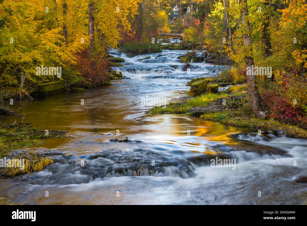 Trout Lake Creek with trees in fall color; Klickitat County, Washington 
