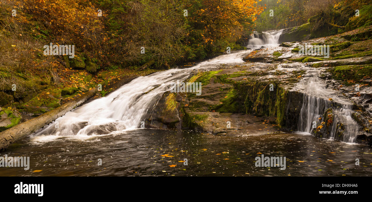 Alsea oregon hires stock photography and images Alamy