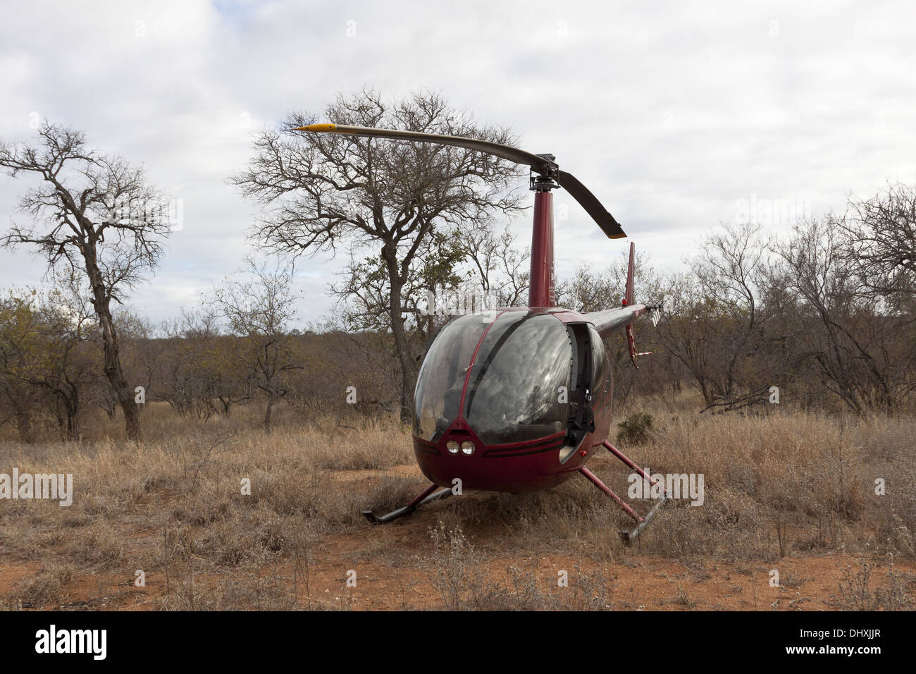 Helicopter in the bush of South Africa Stock Photo Alamy
