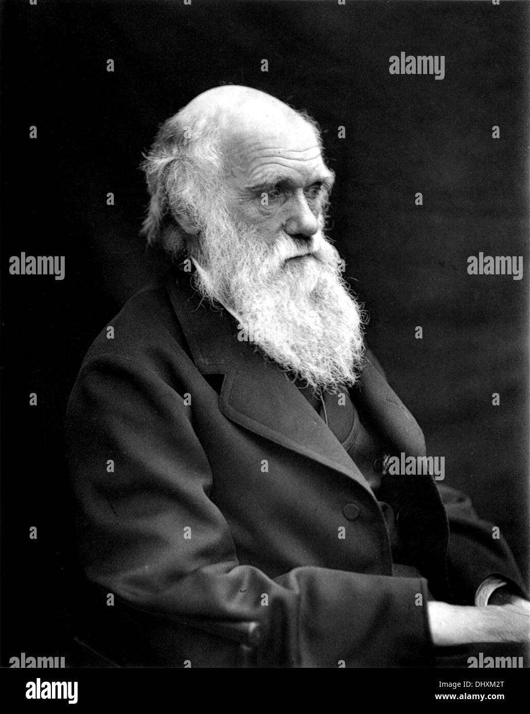 Charles Darwin, 1878 Stock Photo
