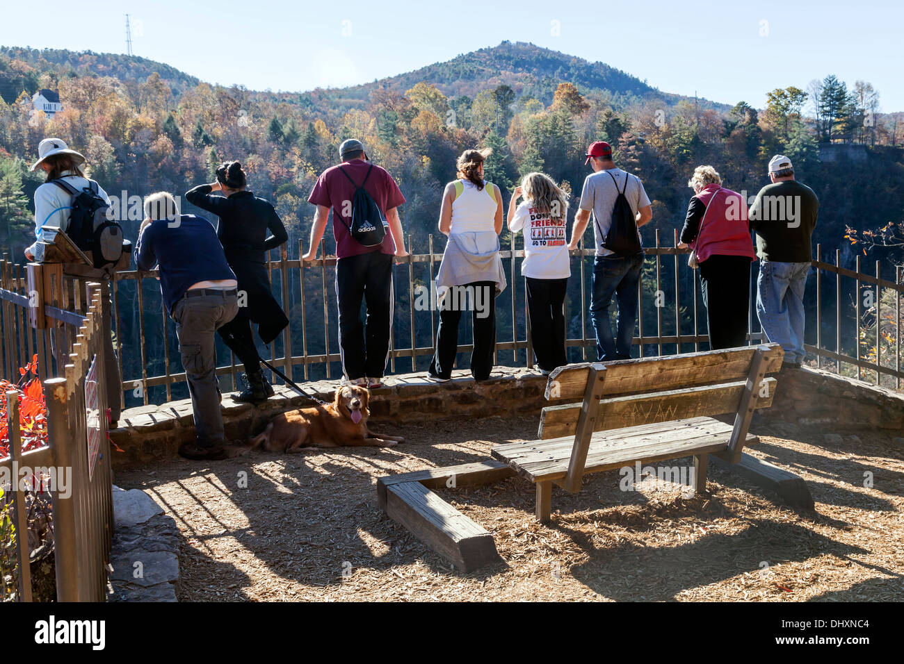 Visitors and a dog line the railing of a scenic overlook in Tallulah Falls State Park in Rabun County, Georgia. USA Stock Photo