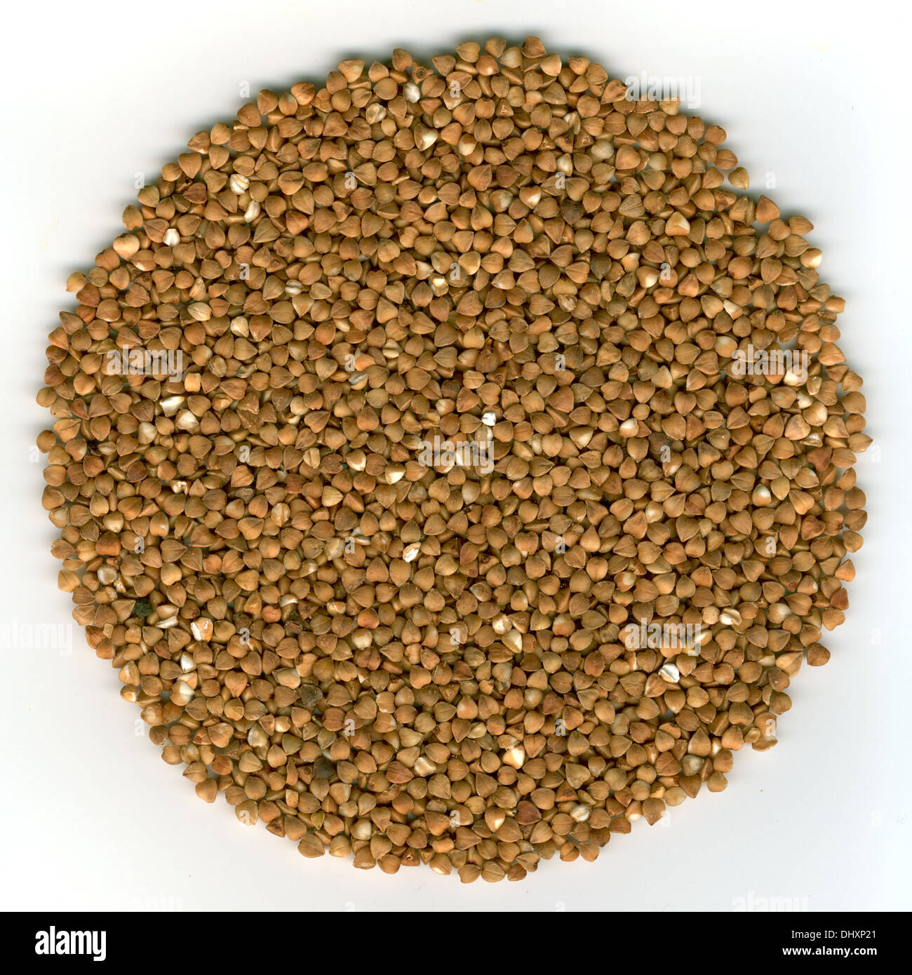 Buchaware Rice Buckwheat illustration hi-res stock photography and images - Alamy