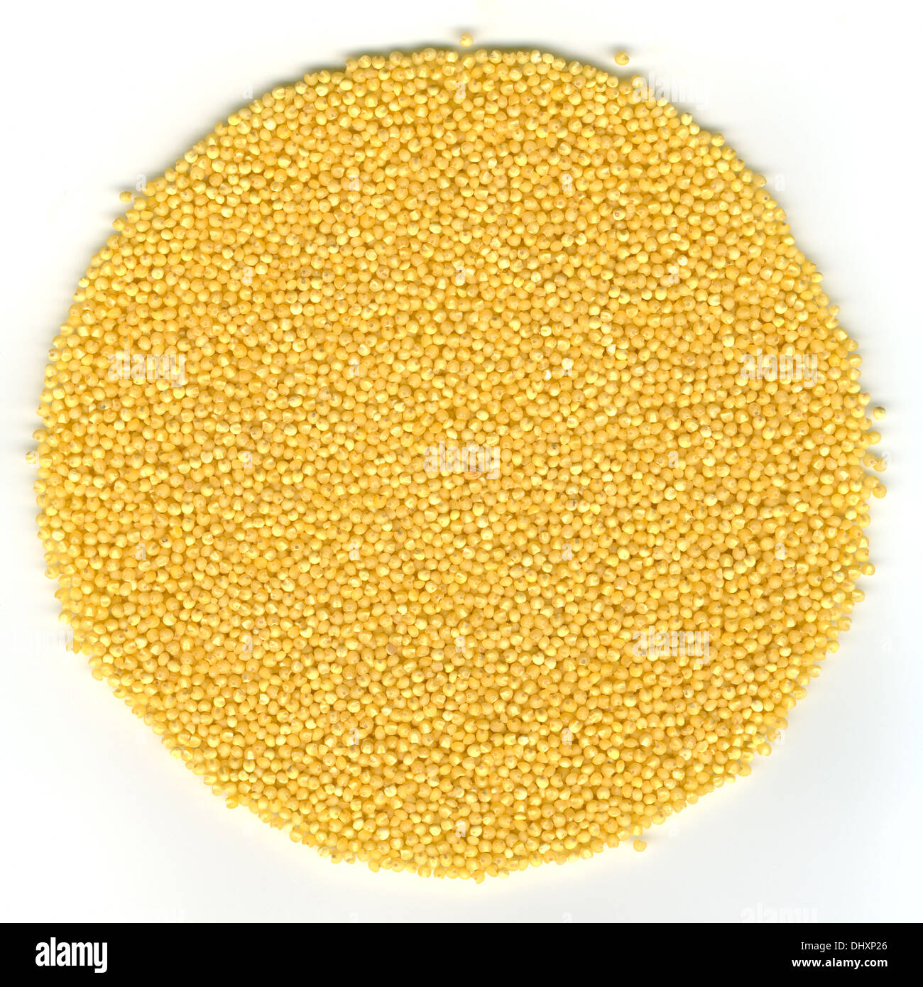 Chinese Millet High Resolution Stock Photography and Images Alamy