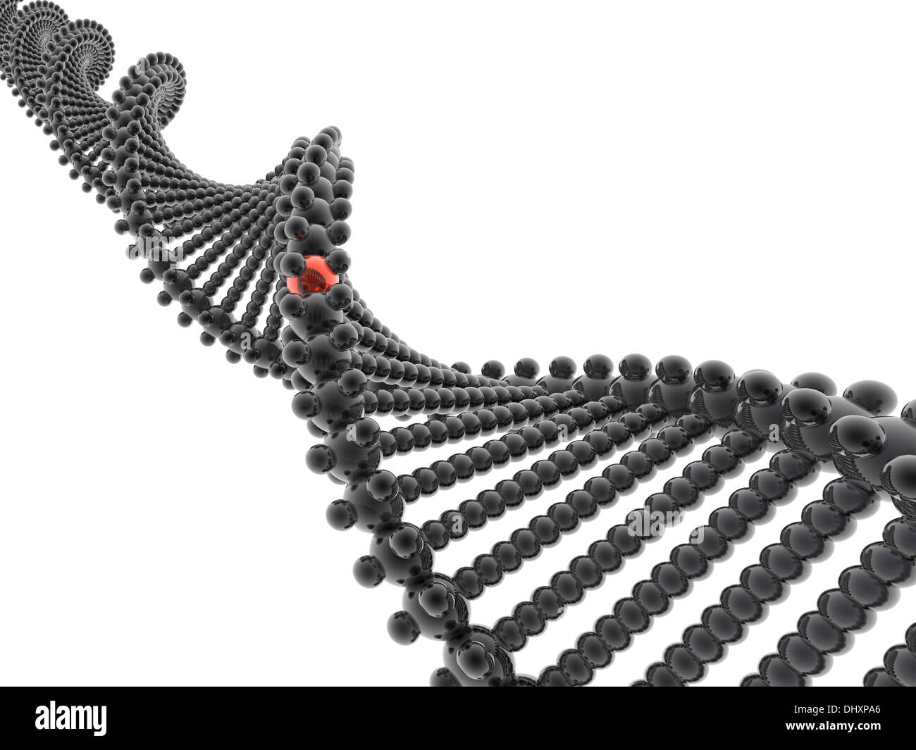 Example 3d Dna Model Dna model genetic sequence hi-res stock photography and images - Alamy