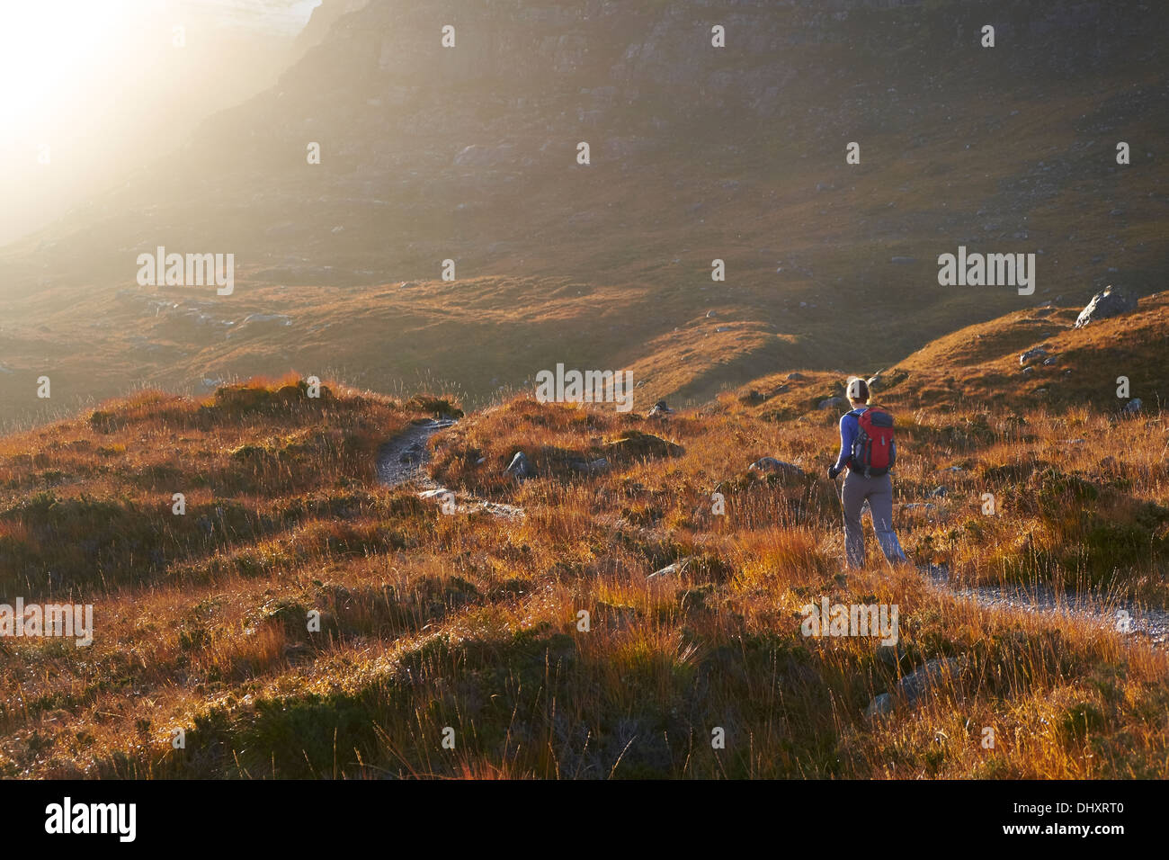 A hiker approaching Beinn Damh via Toll Ban near Torridon in the Scottish Highlands, UK. Stock Photo