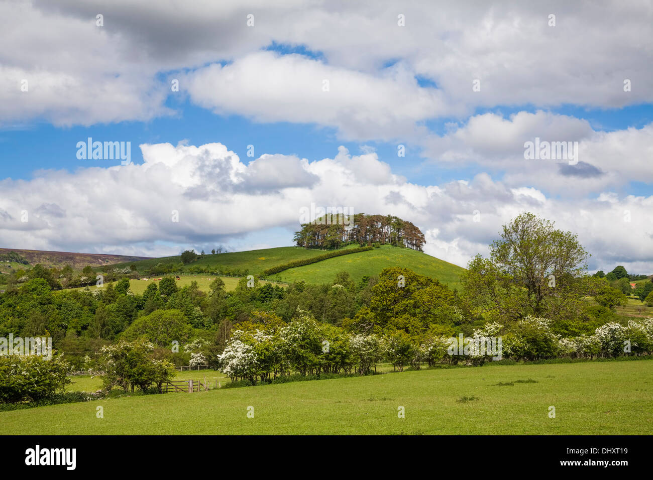 Rosedale, North Yorkshire Moors Stock Photo