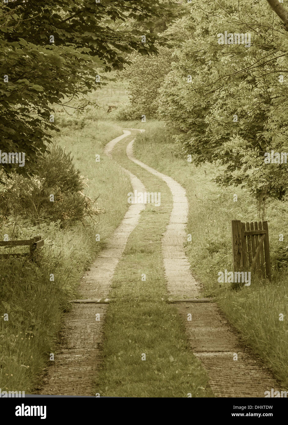 Farm track near Ravenscar, North Yorkshire Stock Photo Alamy
