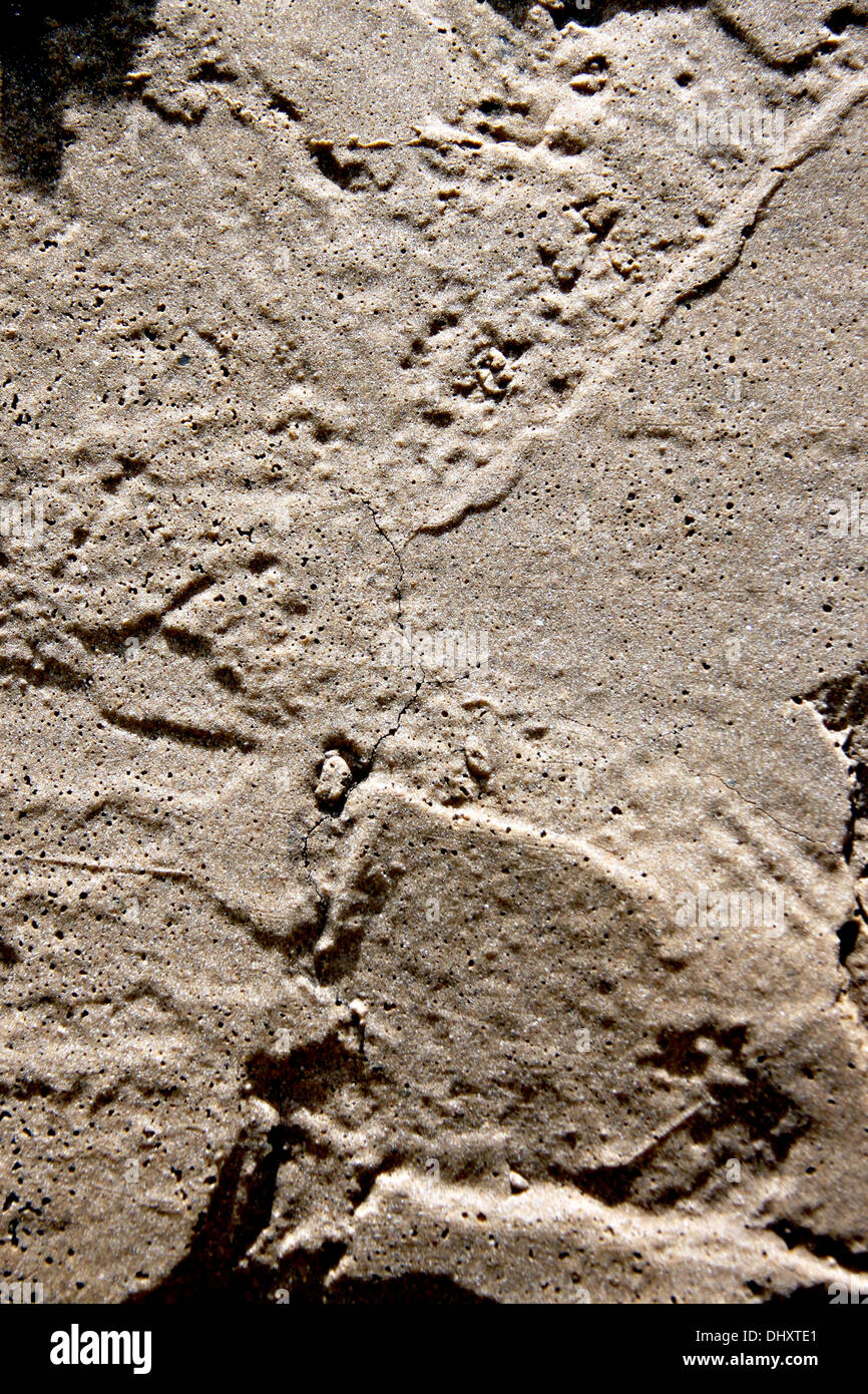 The surface of the sand to dry and harden Stock Photo Alamy