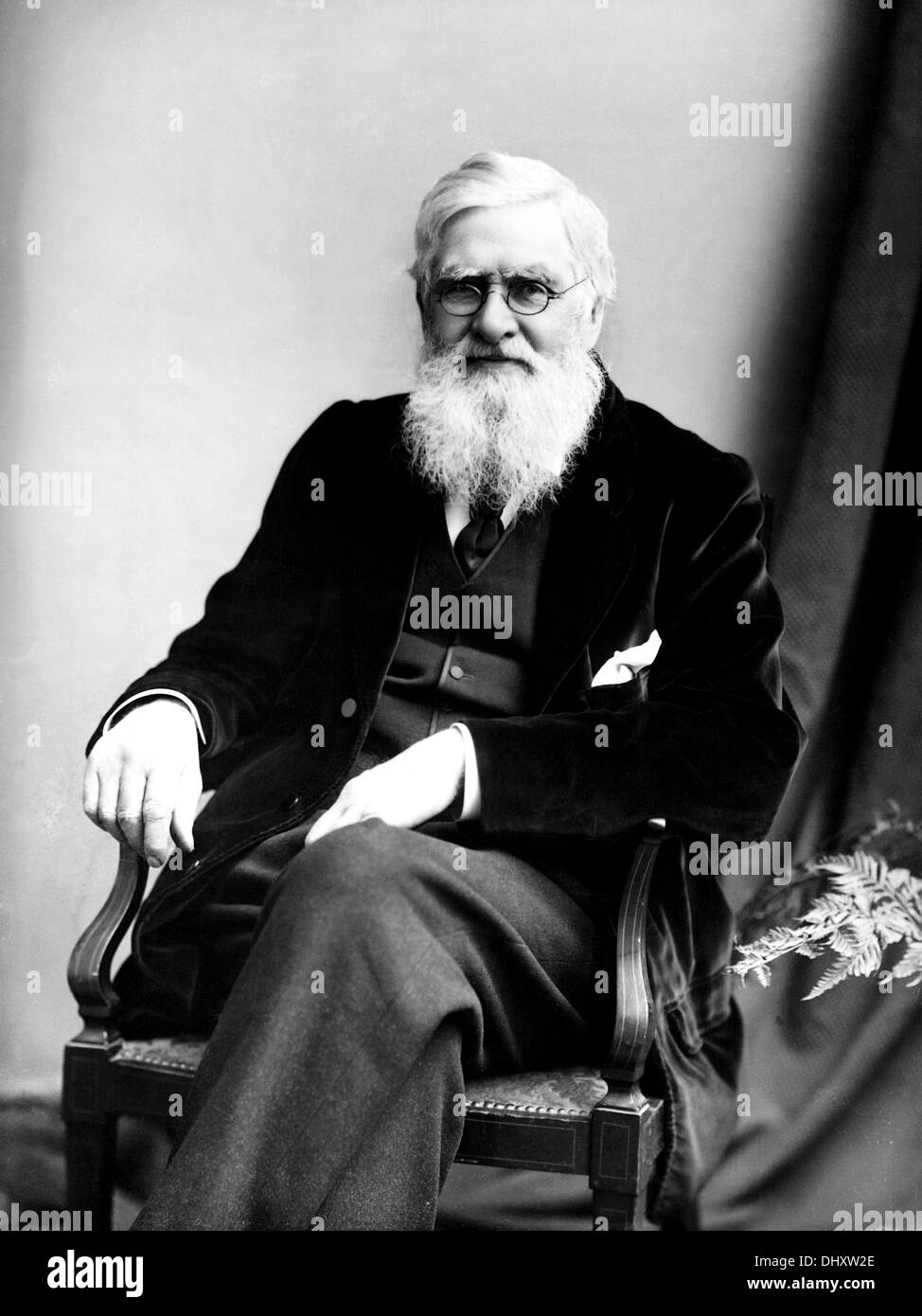 Alfred Russel Wallace, British naturalist Stock Photo