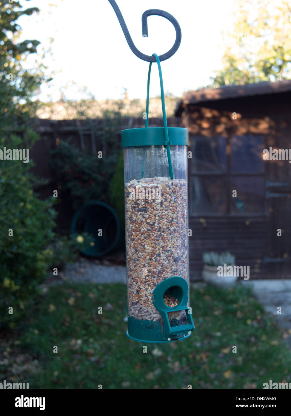 bird feeder in garden Stock Photo