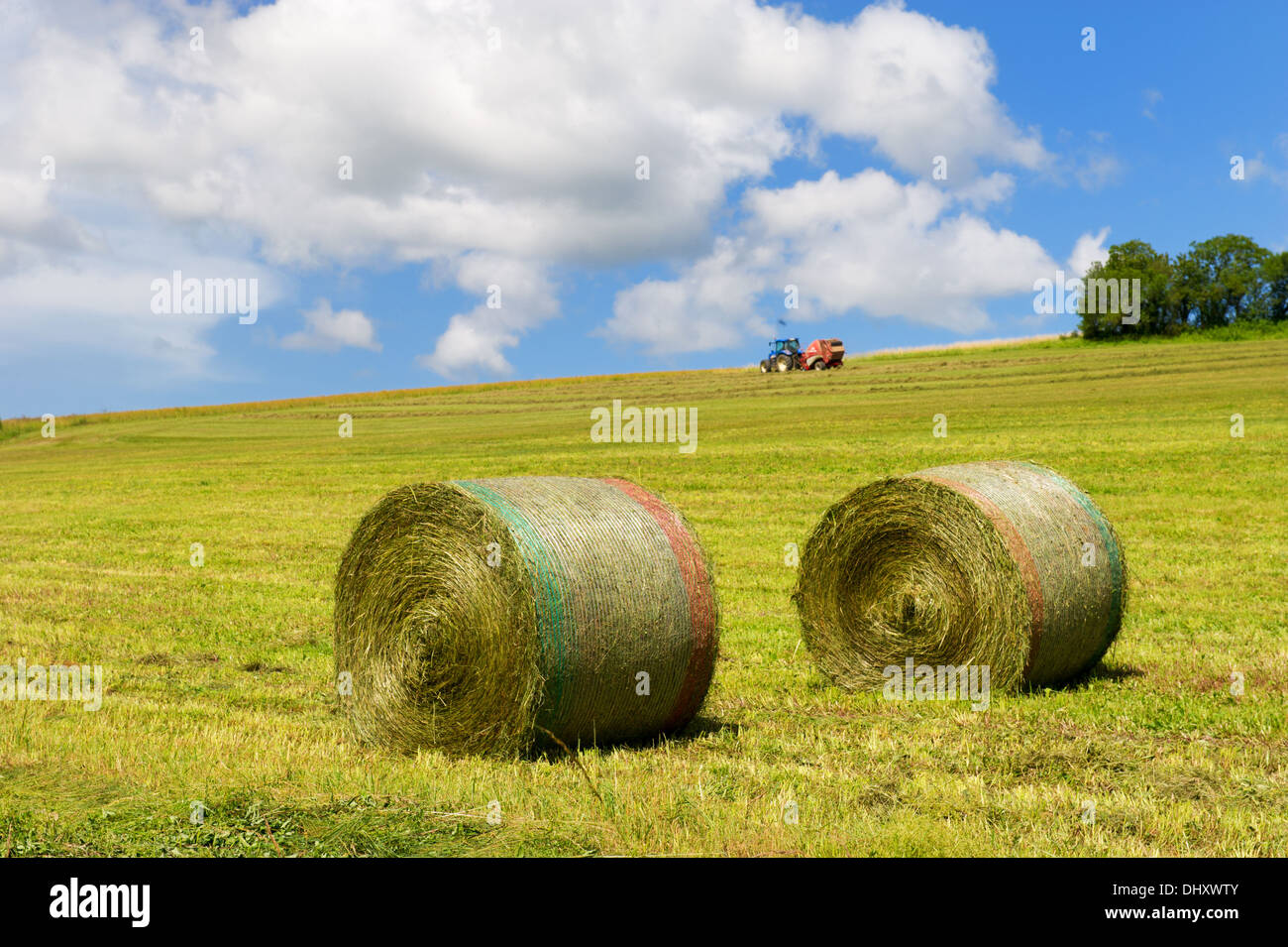 Grass fields with rolls hay and tractor for harvesting Stock Photo - Alamy
