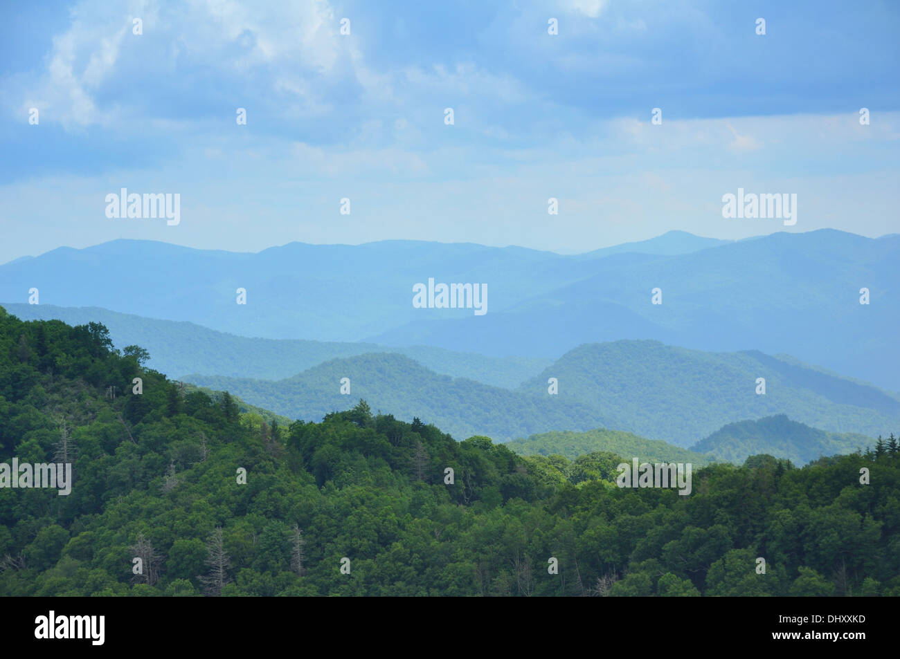 Great Smoky Mountains National Park, Tennessee, USA Stock Photo - Alamy