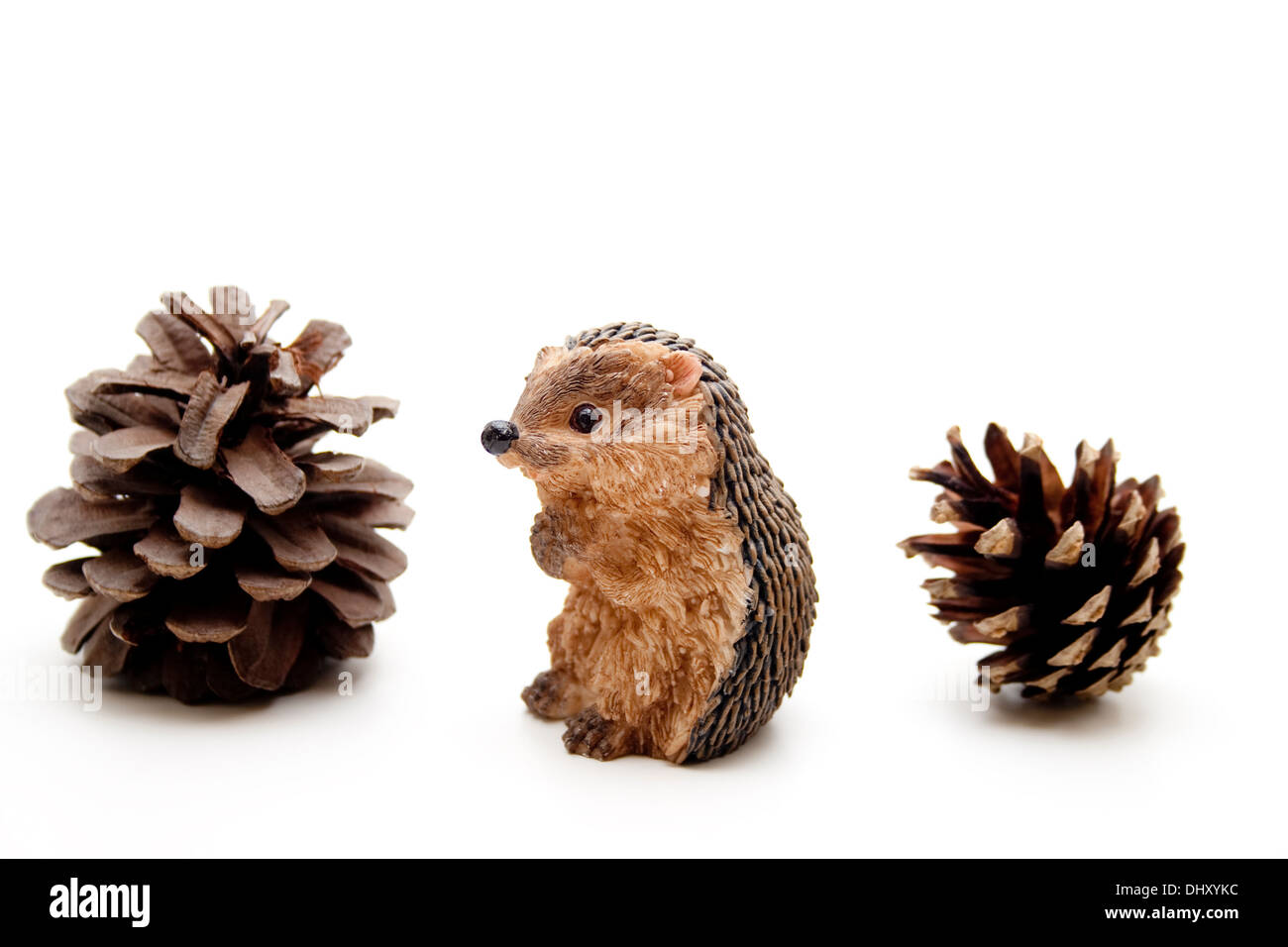 Handmade Hedgehog from cones and a plastic bottle Handmade Hedgehog from cones and a plastic bottle