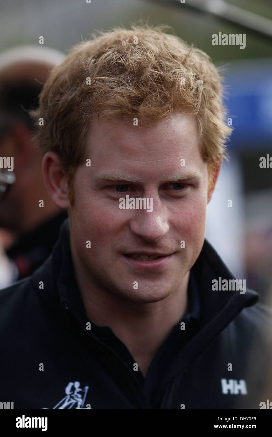Prince Harry arrives to the Walking With The Wounded Departure Event, at Trafalgar Square in London, Britain, 14 November 2013. Stock Photo