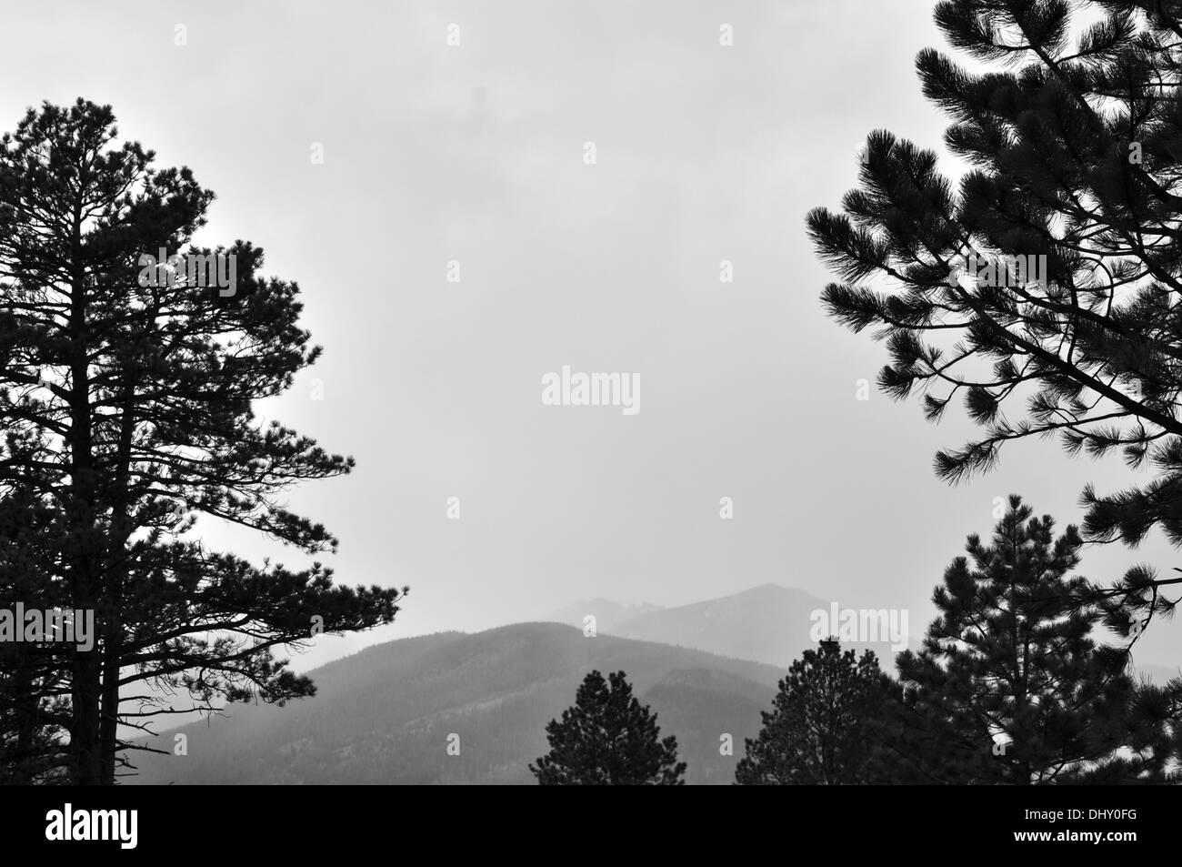 Rocky mountain national forest Black and White Stock Photos & Images ...