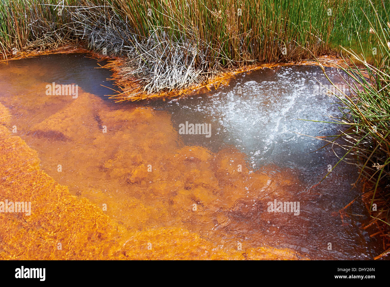 Hot Springs in the Rio Pumapampa valley high up in the Peruvian Andes, South America. Stock Photo