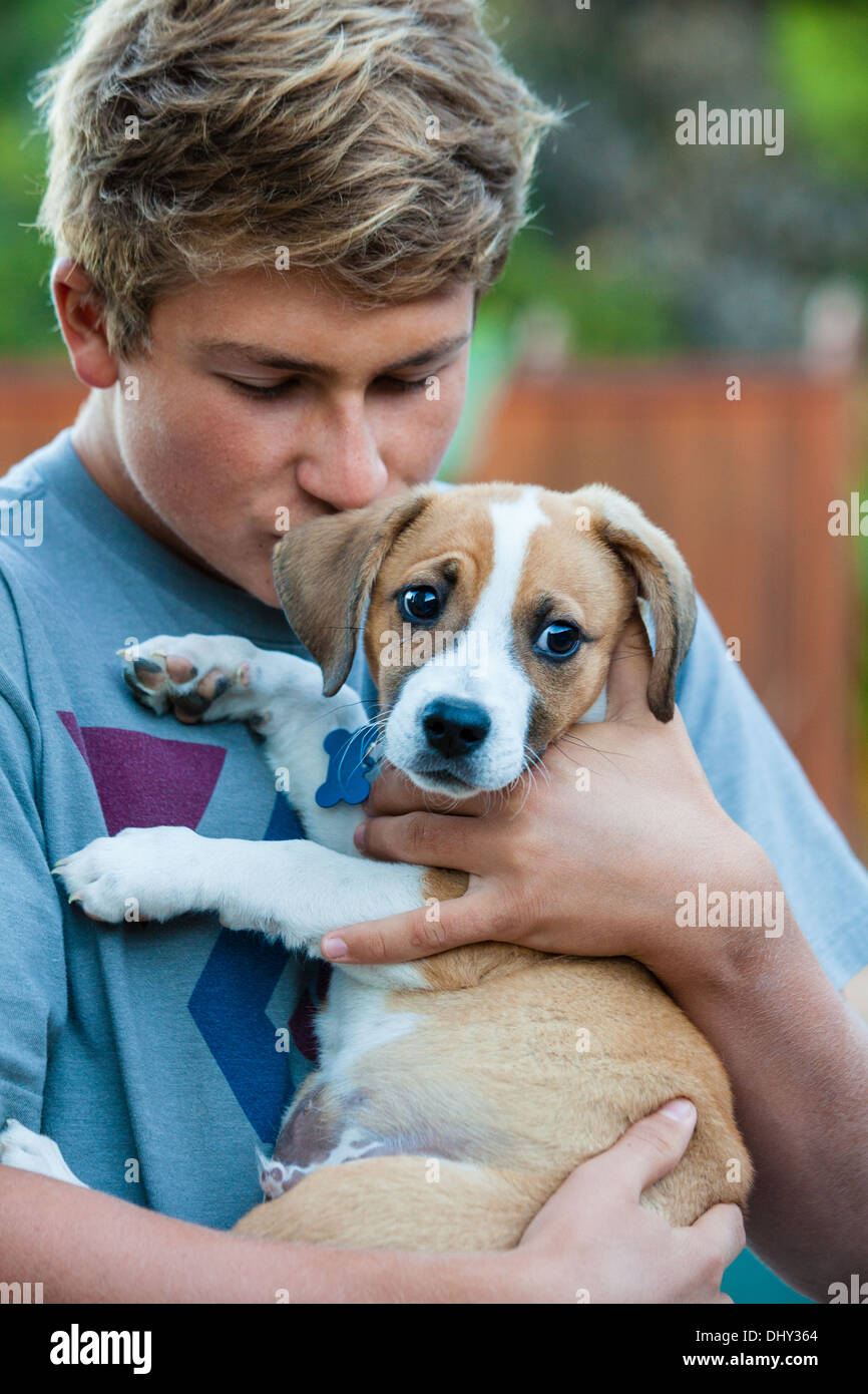 Good looking Teenager Kissing a new Puppy from the dog rescue program in Los Angeles Stock Photo