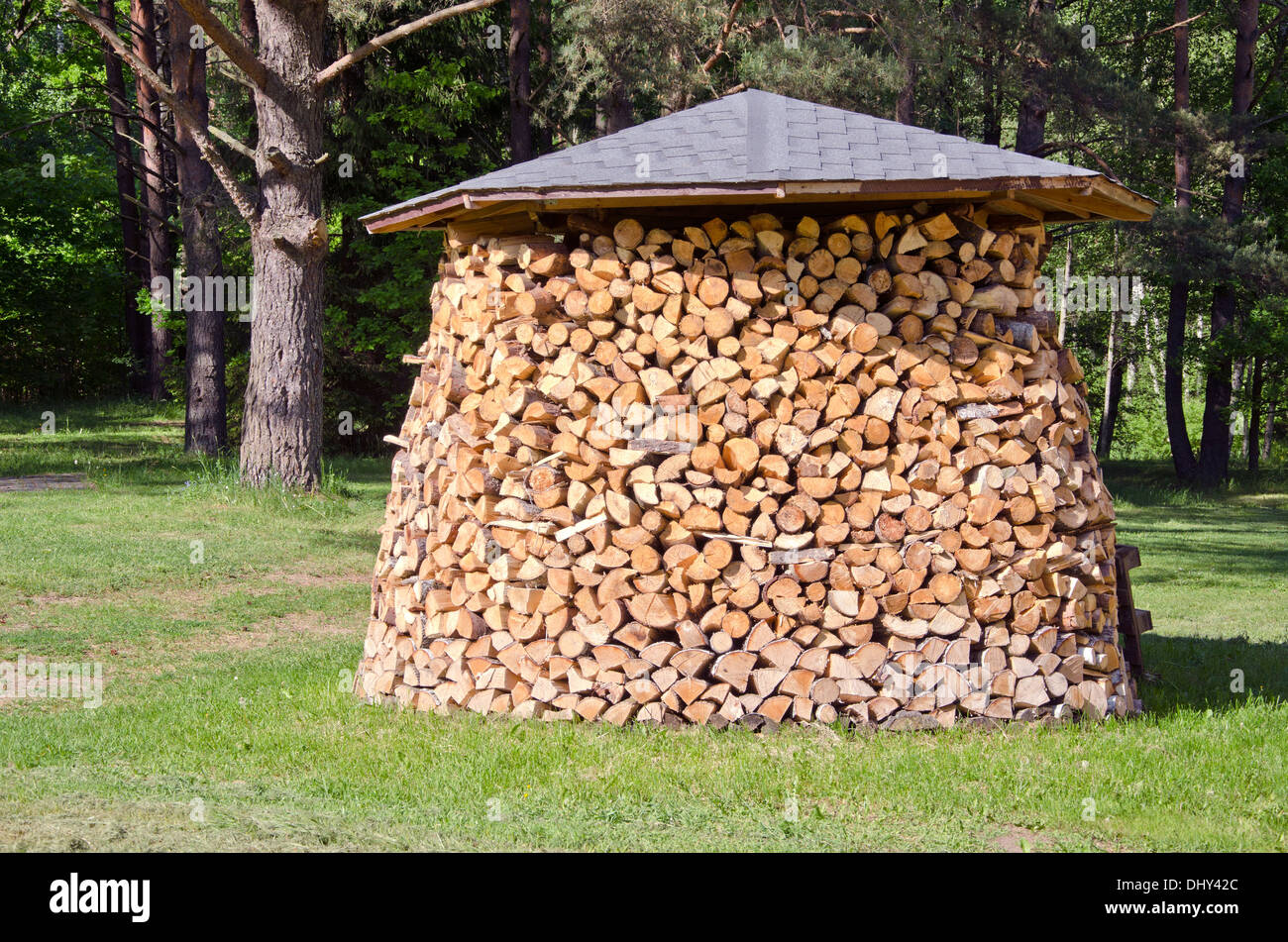 stack firewood fuel in garden on grass Stock Photo