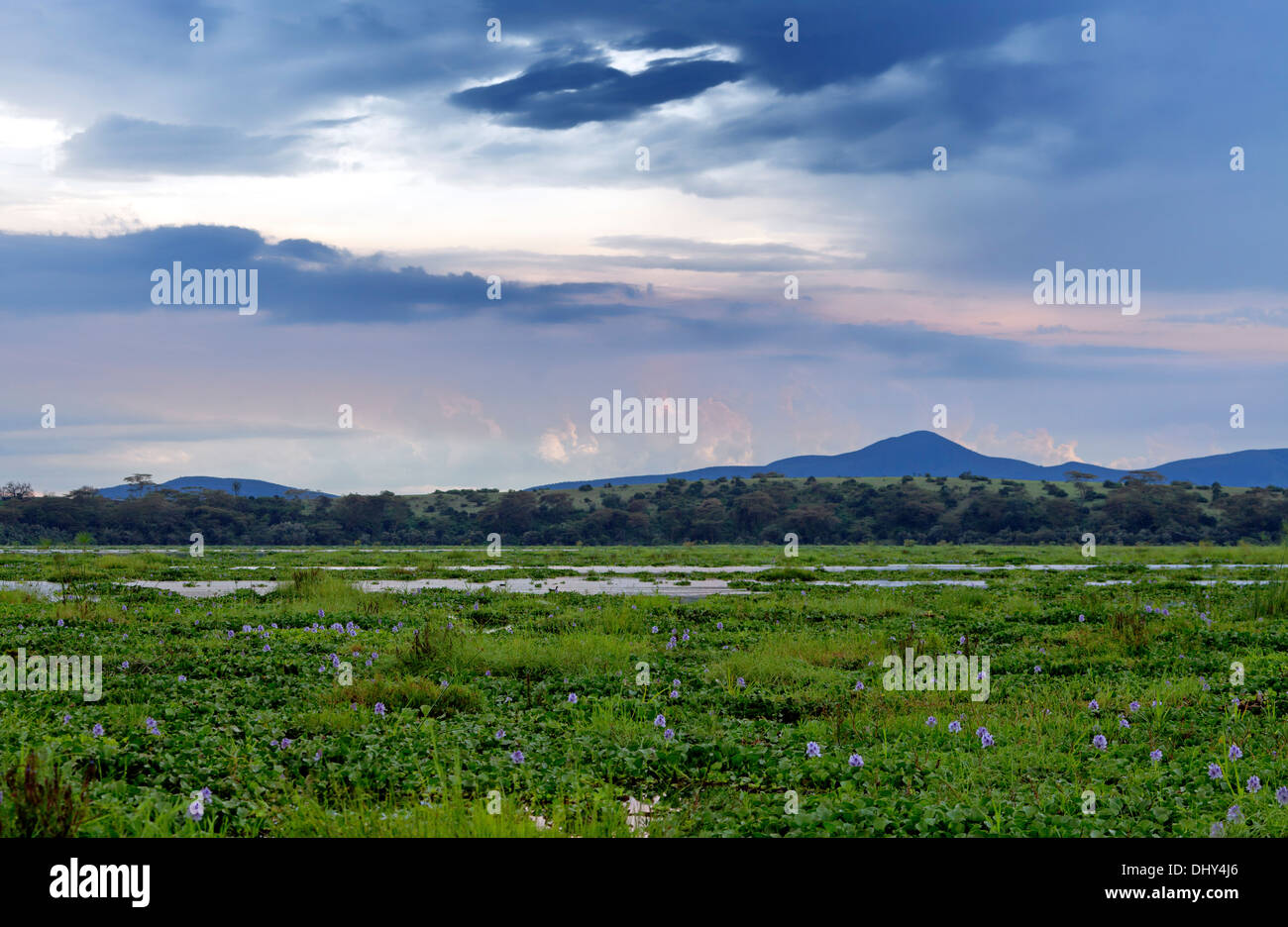 Lake Naivasha, Nakuru County, Kenya Stock Photo