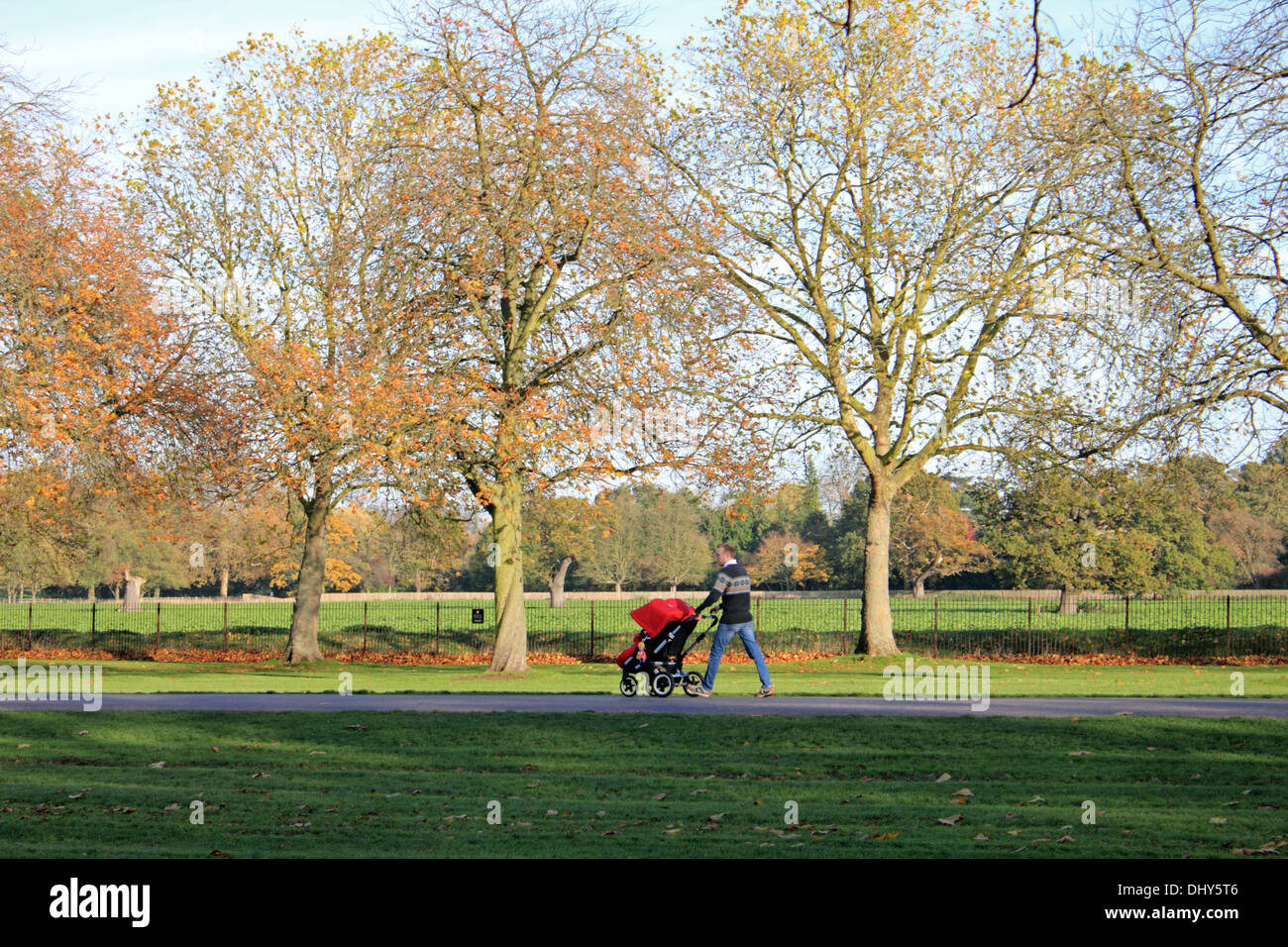 Man pushing child in pushchair in autumn sunshine on the Long Walk, Windsor, Berkshire, UK. Stock Photo