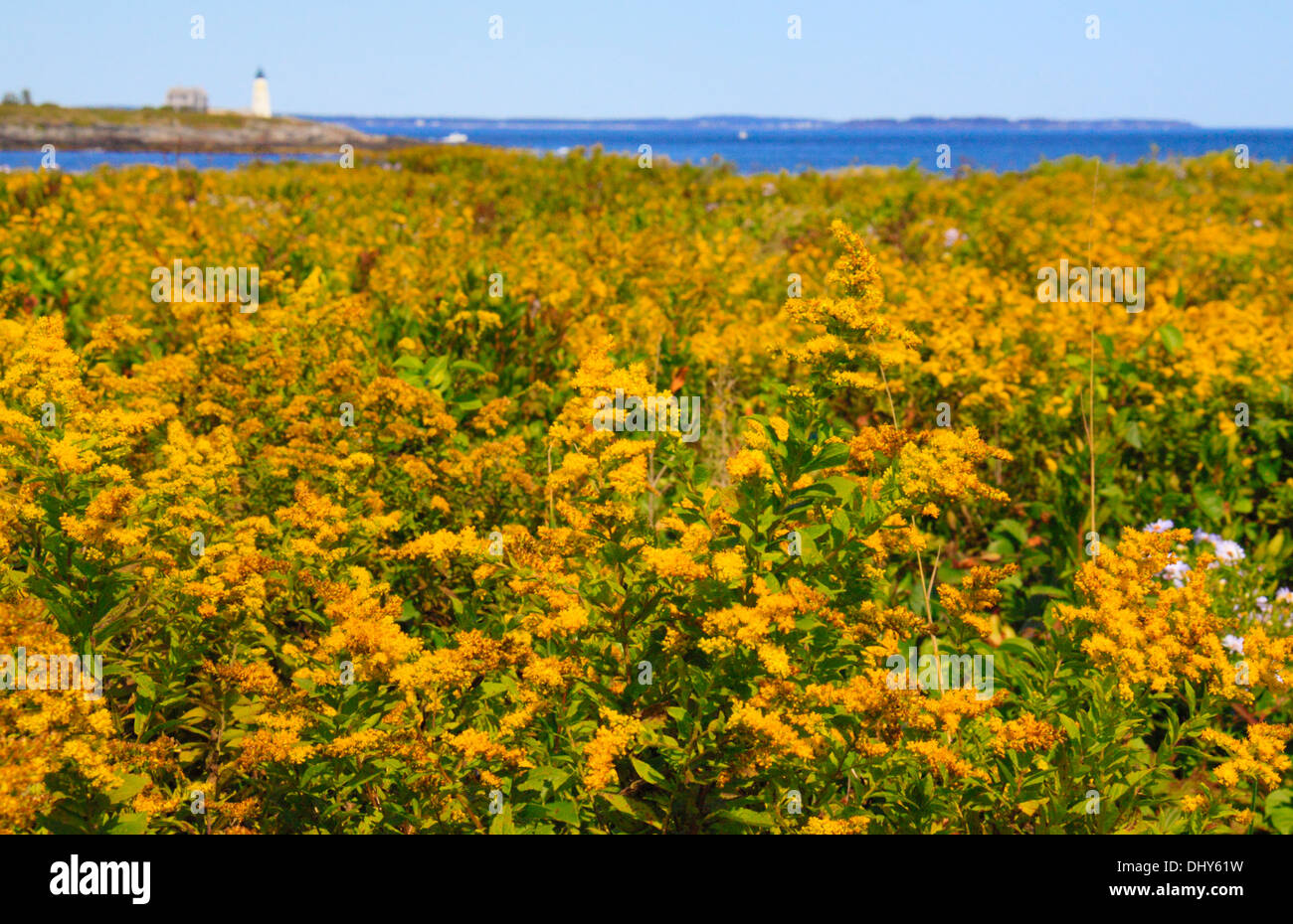 East Point Sanctuary, Wood Island Lighthouse, Biddeford Pool, Maine