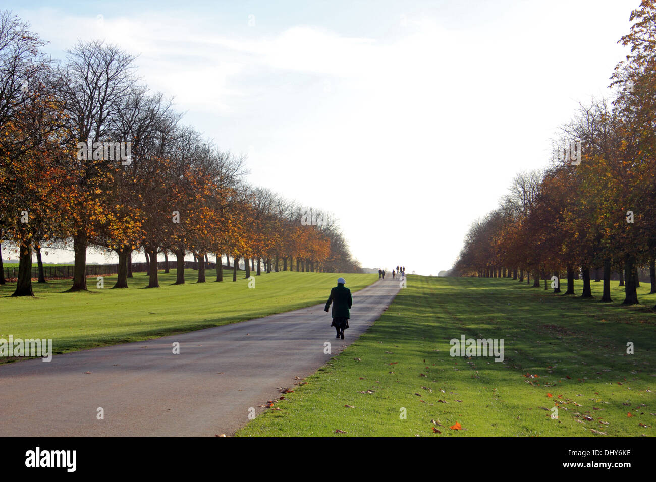 Autumn sunshine on the Long Walk, Windsor, Berkshire, UK. Stock Photo