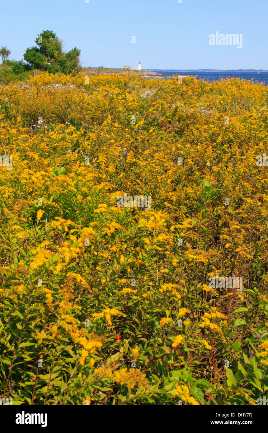 East Point Sanctuary, Wood Island Lighthouse, Biddeford Pool, Maine