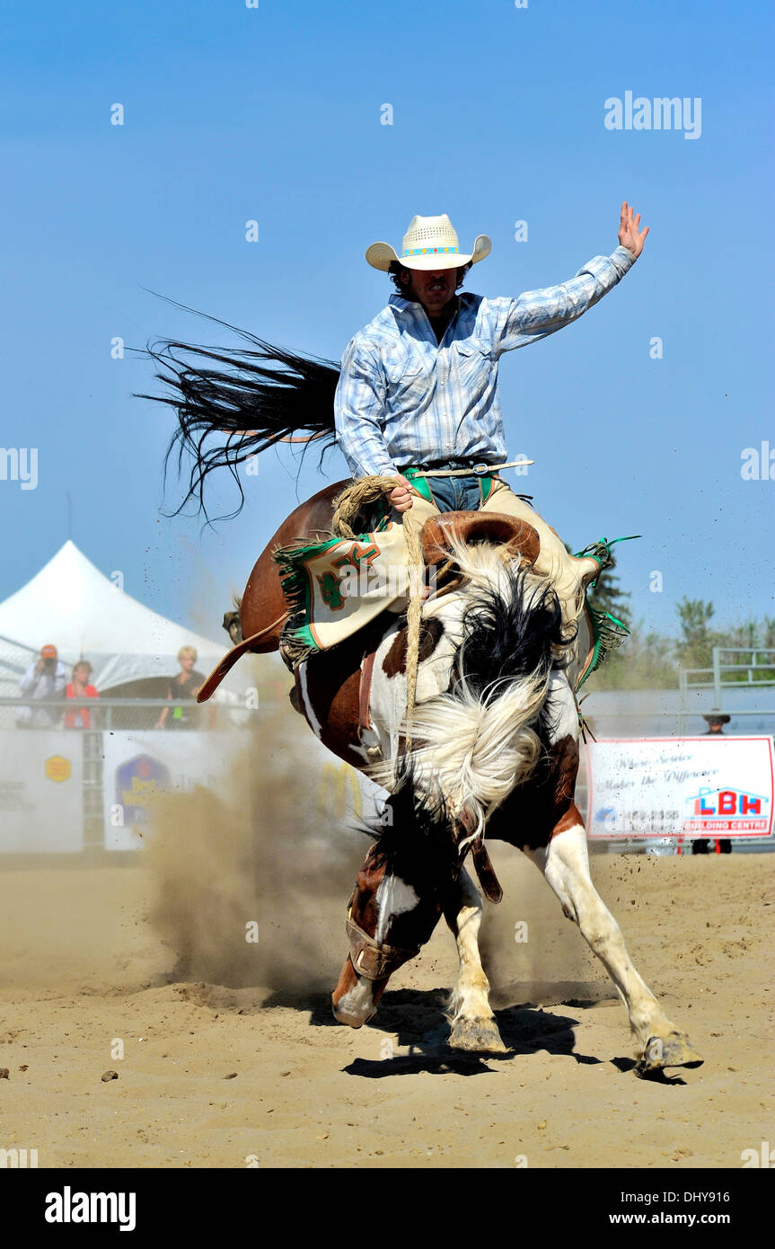 Nfr Bronc Riders